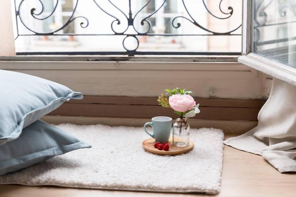 Le Lumineux 50 M² Gare/Chateau/Wifi/Netflix Versailles Eksteriør bilde